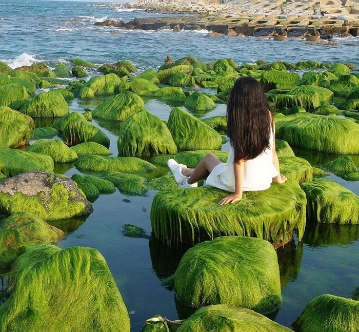 Cinematic beauty of green mossy rocky ground in Phu Yen