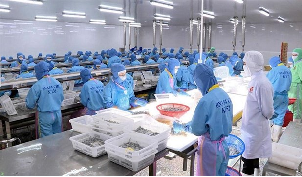 Vietnam’s exports to EU reach nearly $5 billion thanks to EVFTA