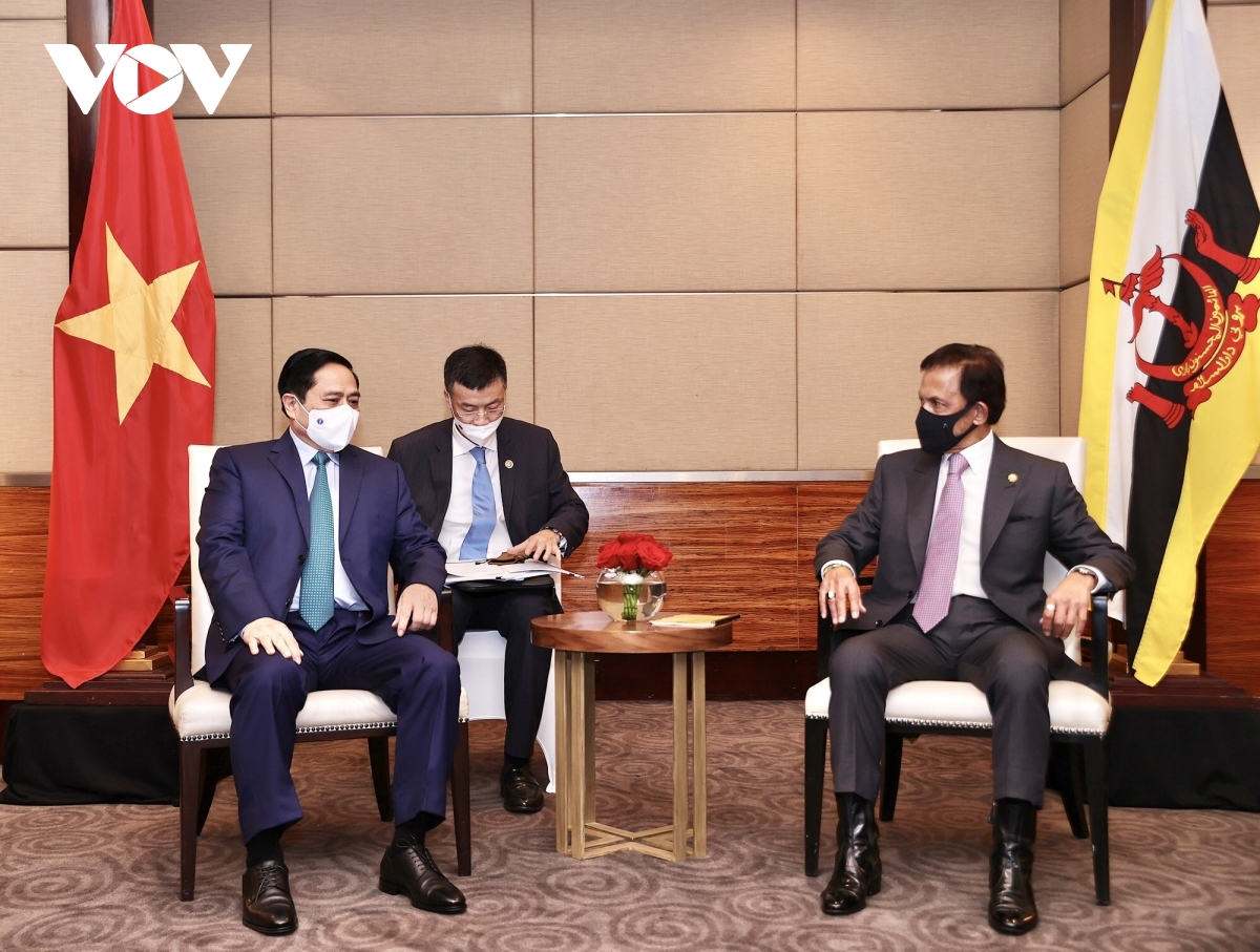 Vietnam, Brunei to enhance all-round cooperation