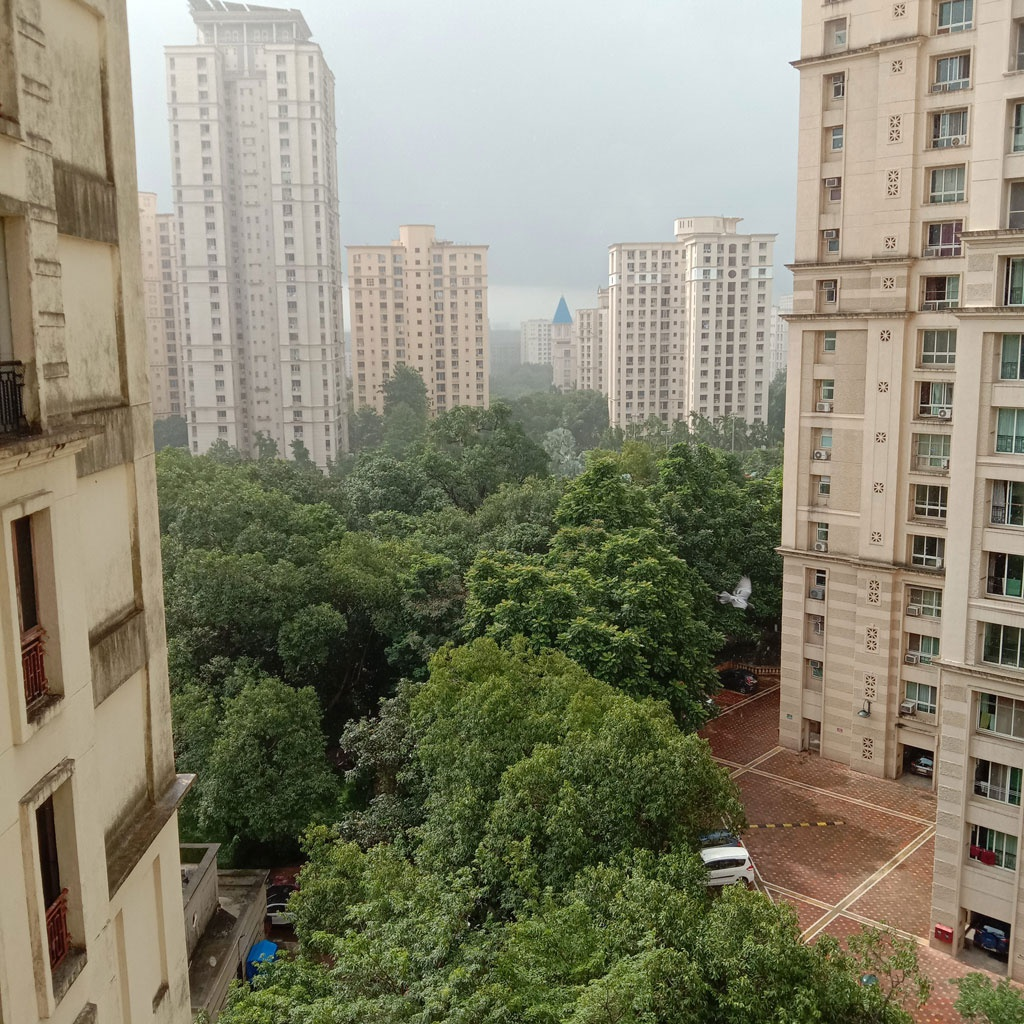 Vietnamese community in India amidst raging Covid-19: nervous but try to stick
