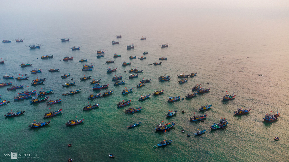 Vibrant scene at fish market in Quang Nam province