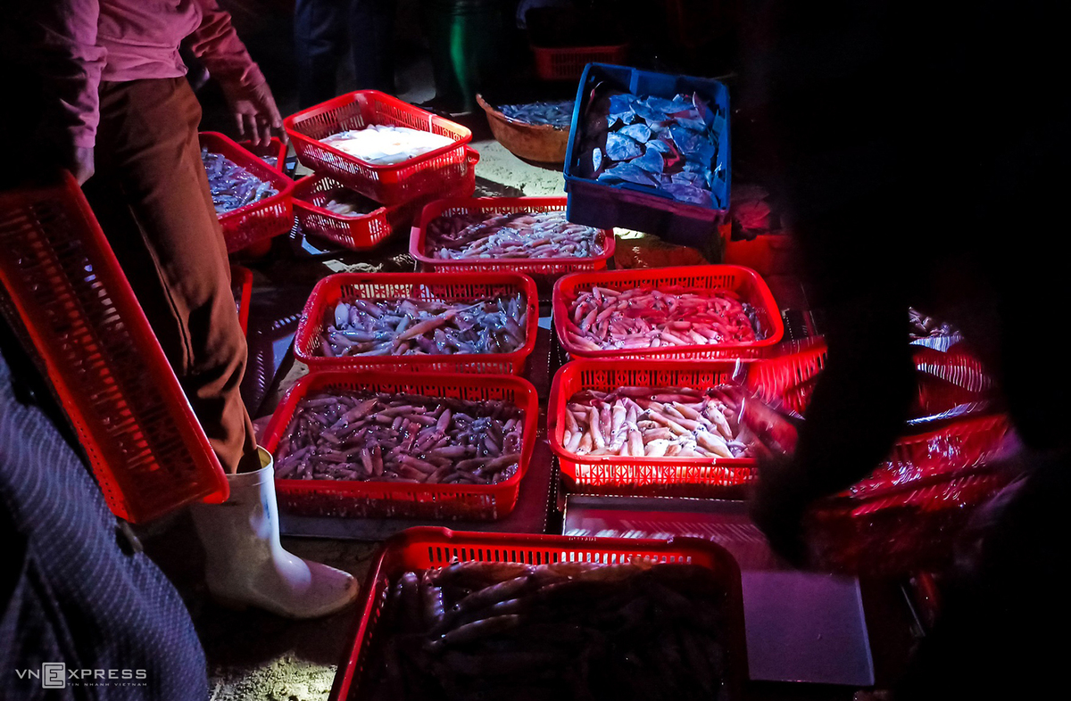 Vibrant scene at fish market in Quang Nam province