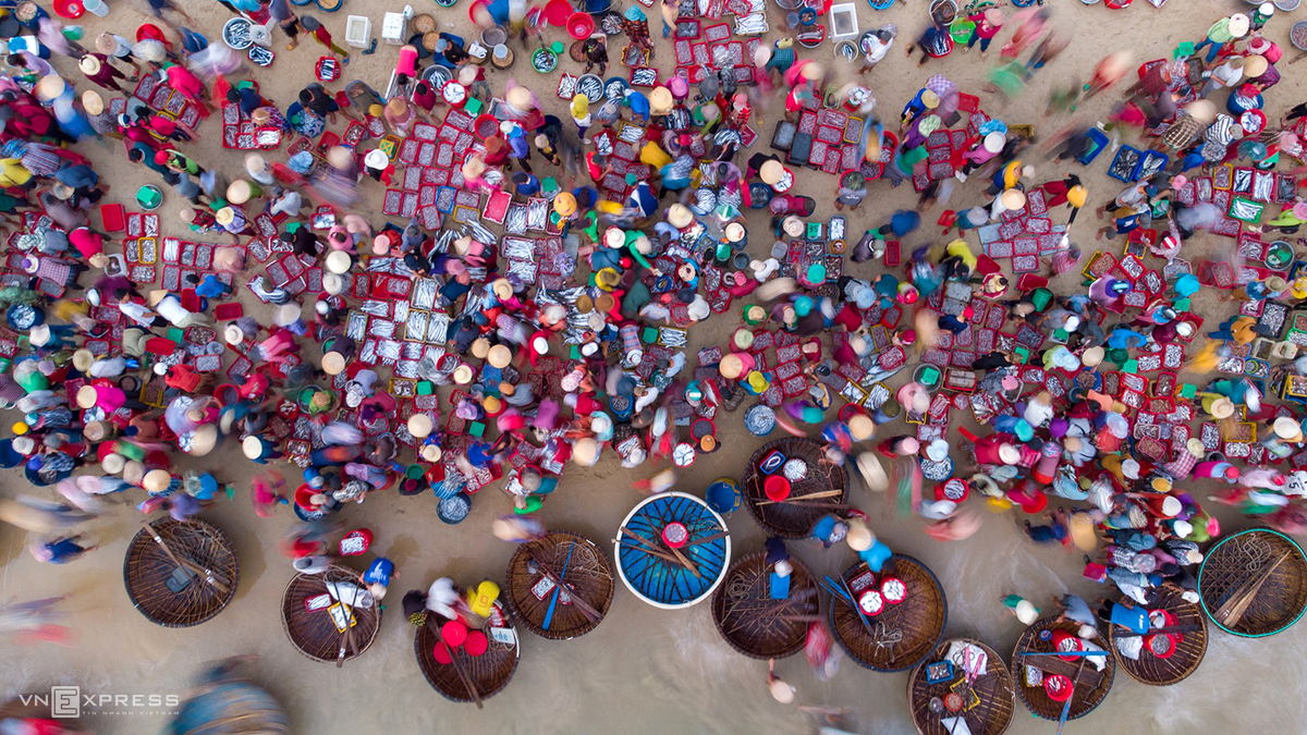 Vibrant scene at fish market in Quang Nam province