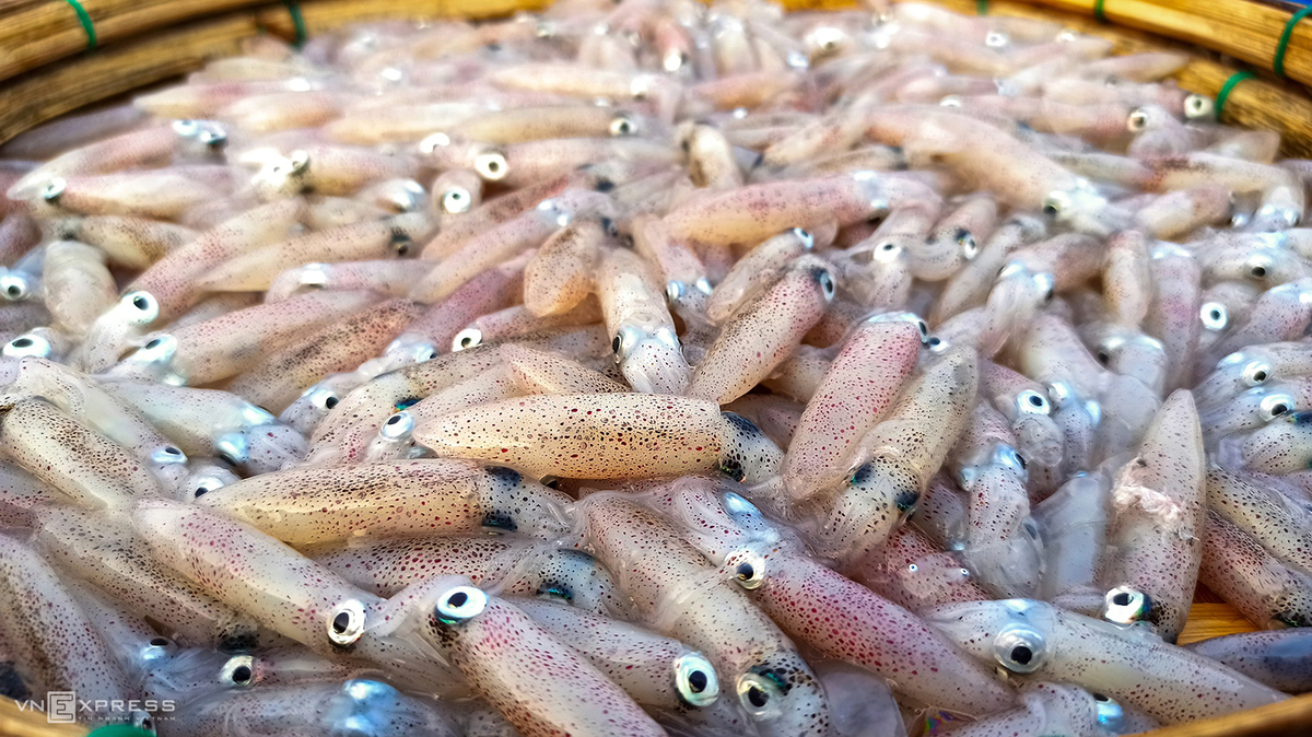 Vibrant scene at fish market in Quang Nam province