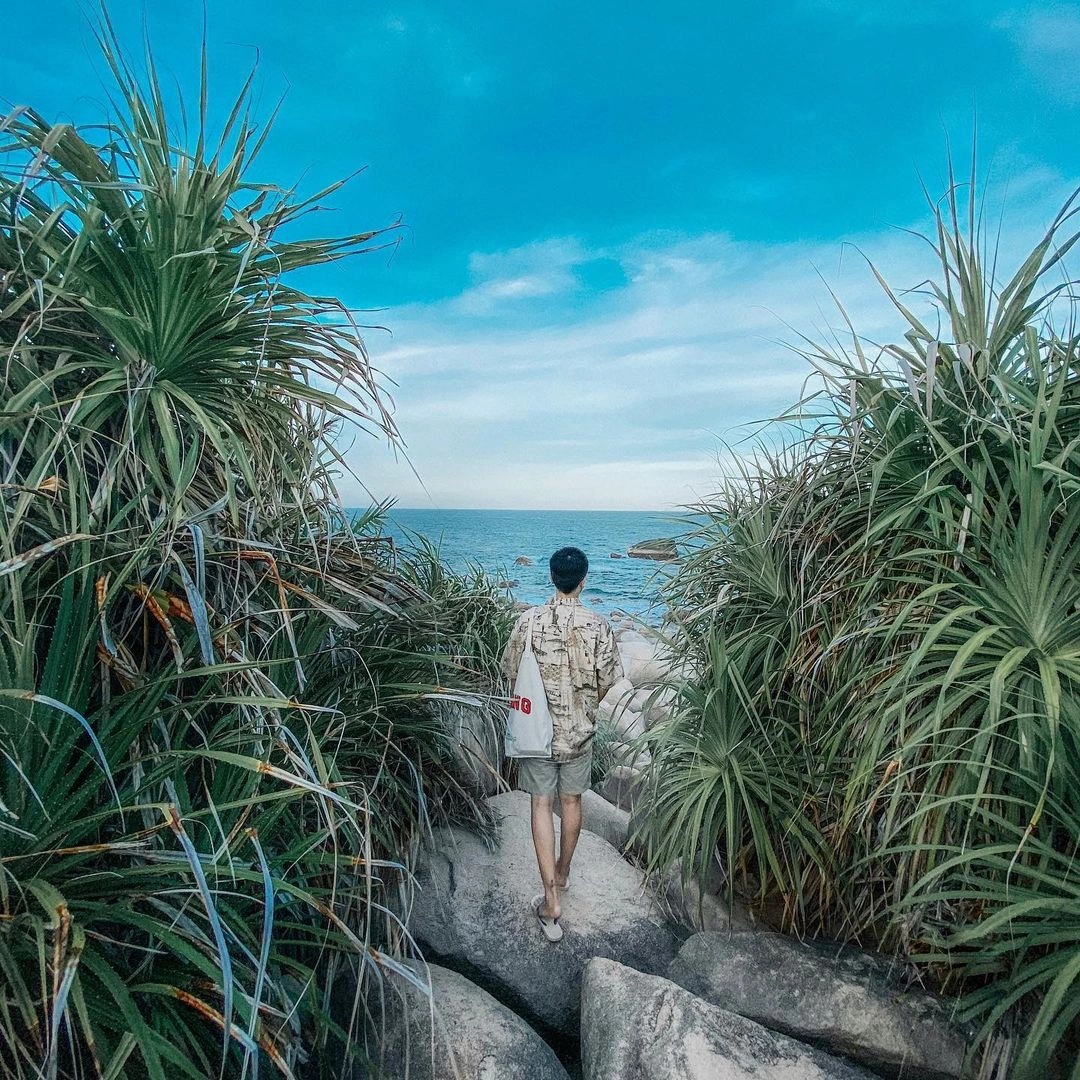 Most attractive egg stone beaches in Vietnam