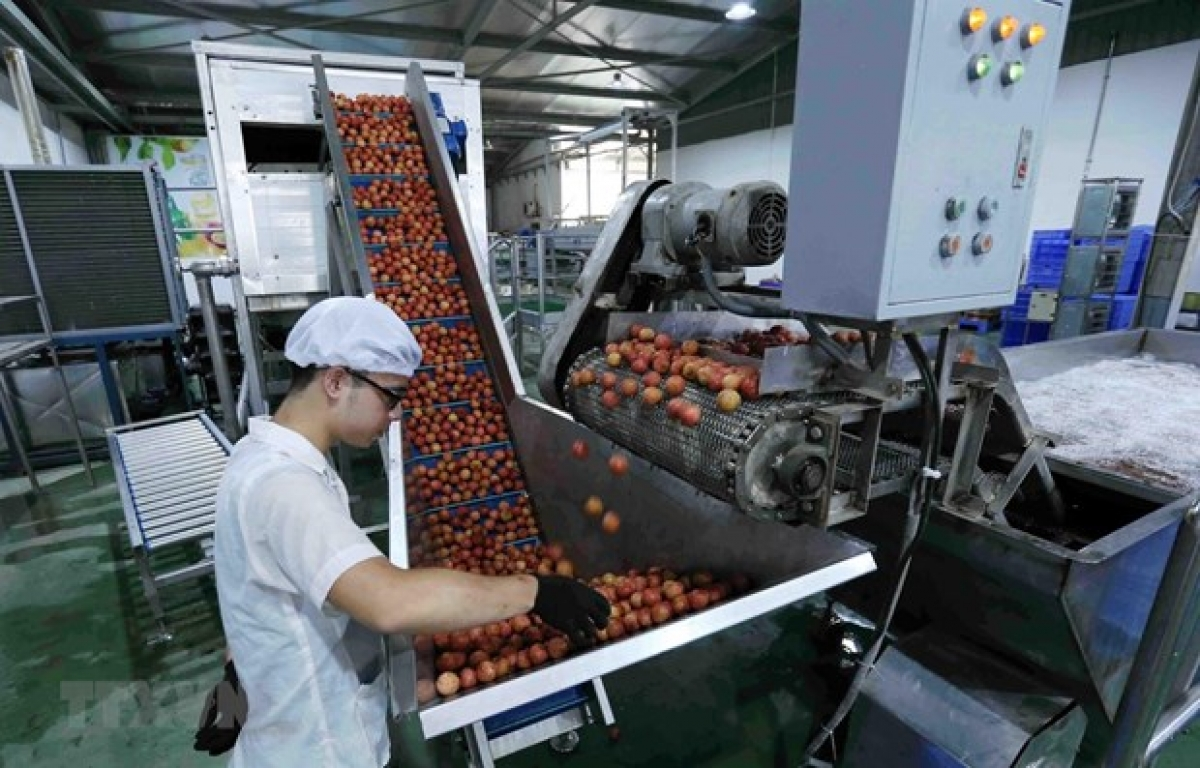 Vietnam’s fruit and vegetable exports skyrocket in first four months of 2021