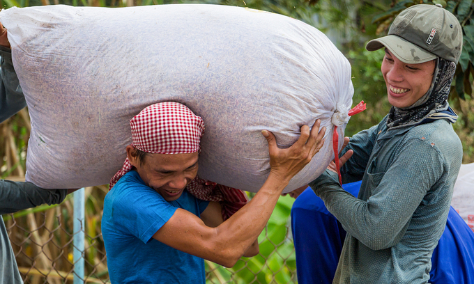 Vietnam's rice exporters urged to utilize FTAs to boost shipments
