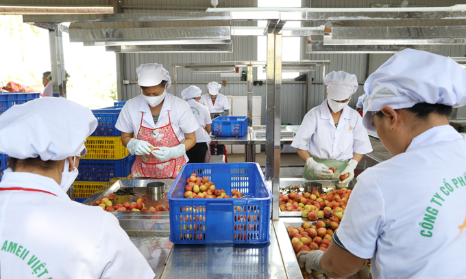 US businesses keen to ramp up imports from Vietnam