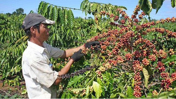 Poland market offers ample room for Vietnamese farm produce and food