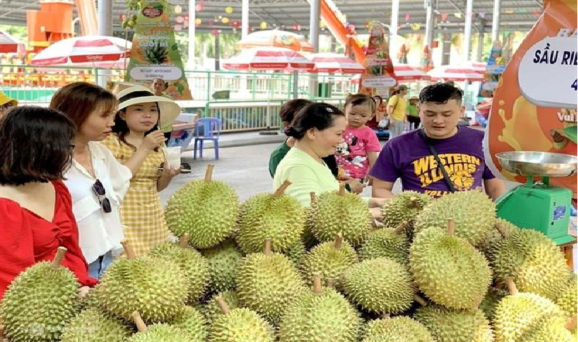 the number of visitors going to domestic tourist destinations increases sharply