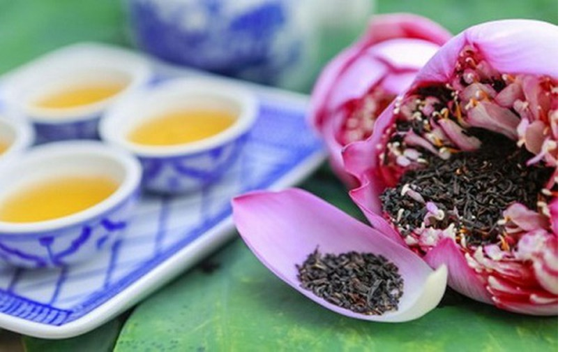 Lotus flowers blooming in Hanoi amid sweltering summer lotus flower blooming in hanoi amid sweltering summer