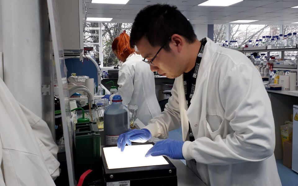 covid 19 vaccines available soon are made in vietnam