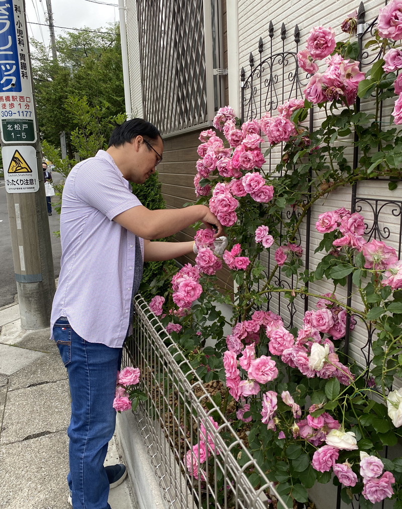 Gorgeous rose garden of Vietnamese doctor in Japan