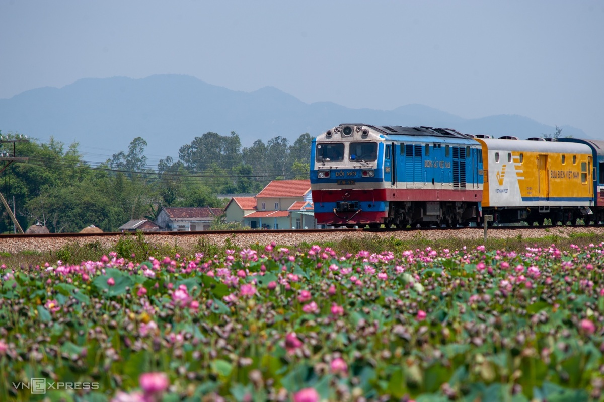 Blooming lotus flowers add allure to Vietnam’s central provinces