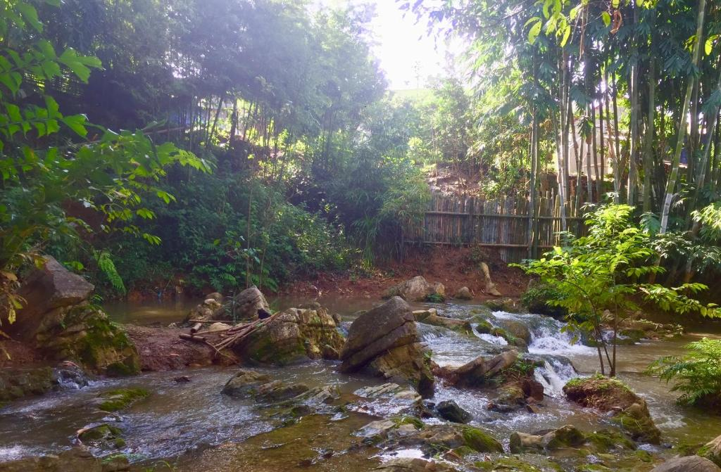 Top 3 places in Moc Chau to beat the summer heat