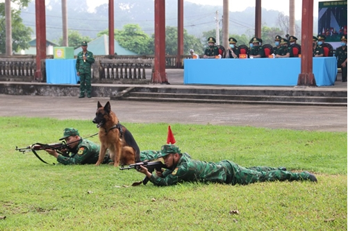 Vietnamese team gears up for Int'l Army Games 2021