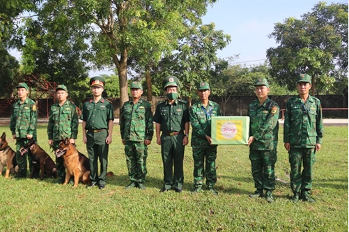 Vietnamese team gears up for Int'l Army Games 2021