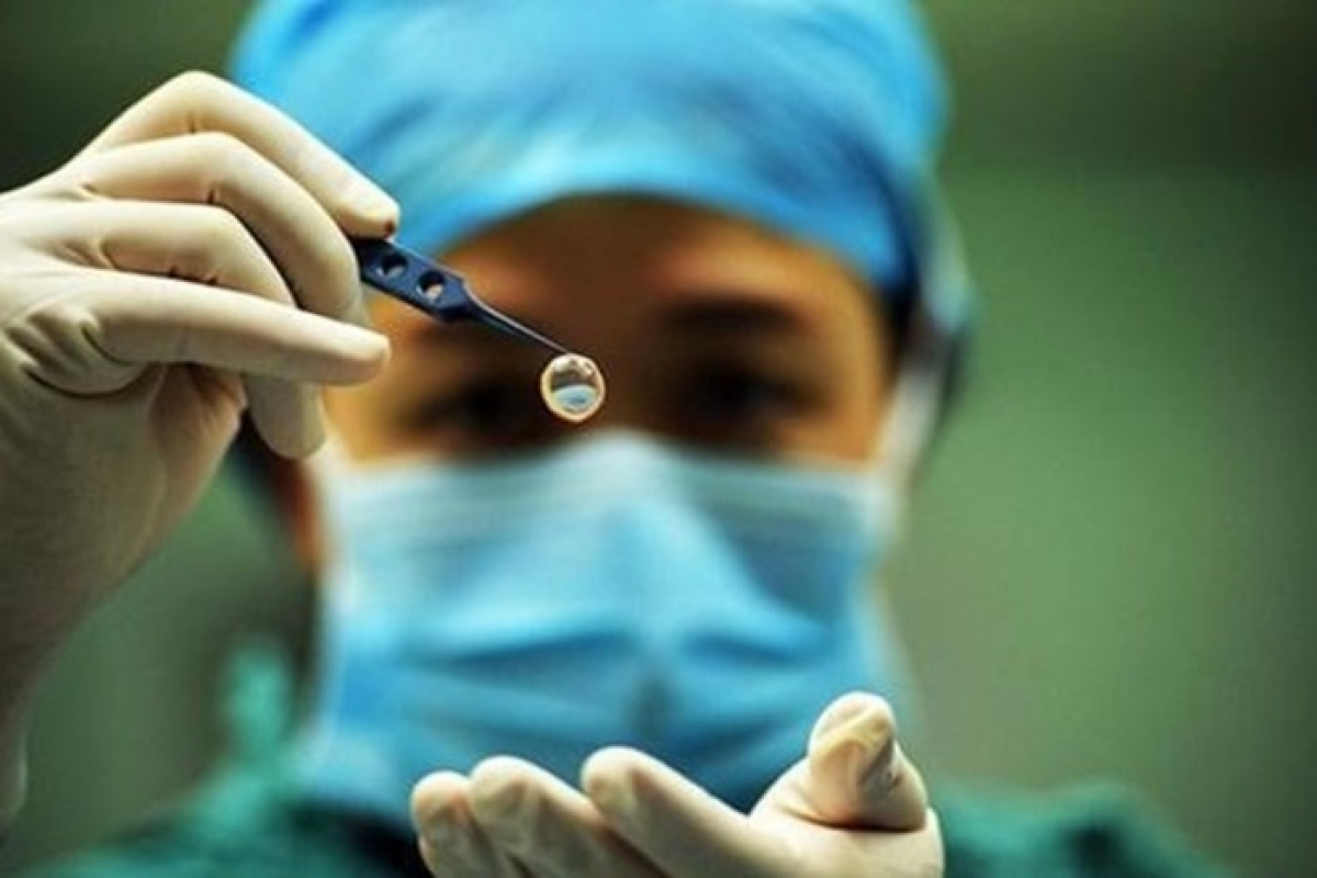 dead of accident vietnamese student in taiwan was donated his cornea by the father