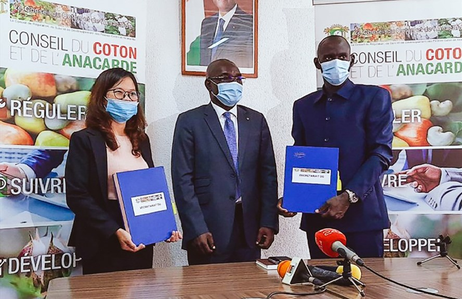 Vietnam’s T&T Group continues to import record huge amount of cashews from Côte d'Ivoire