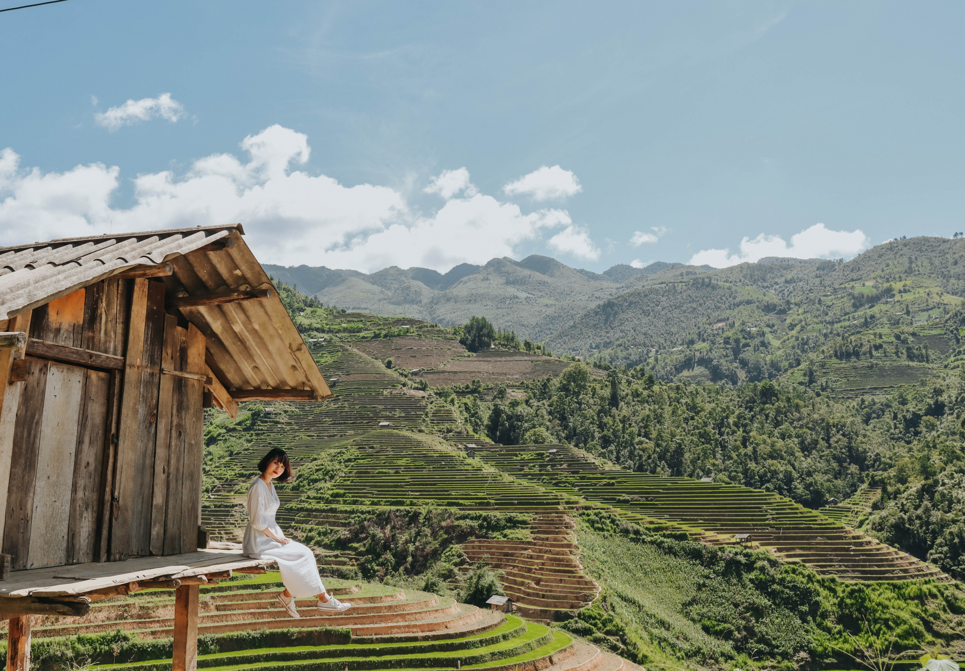 sublime verdant green terraced fields in northwestern vietnam