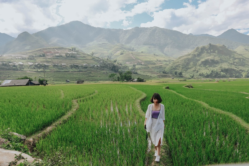 sublime verdant green terraced fields in northwestern vietnam