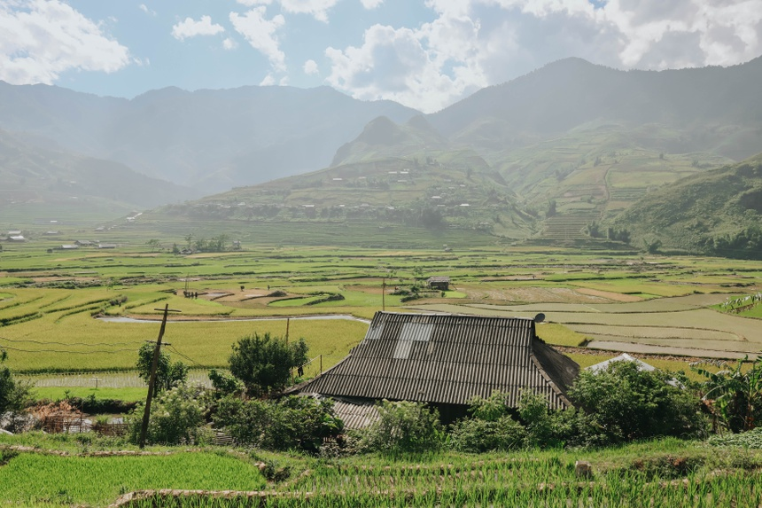 sublime verdant green terraced fields in northwestern vietnam
