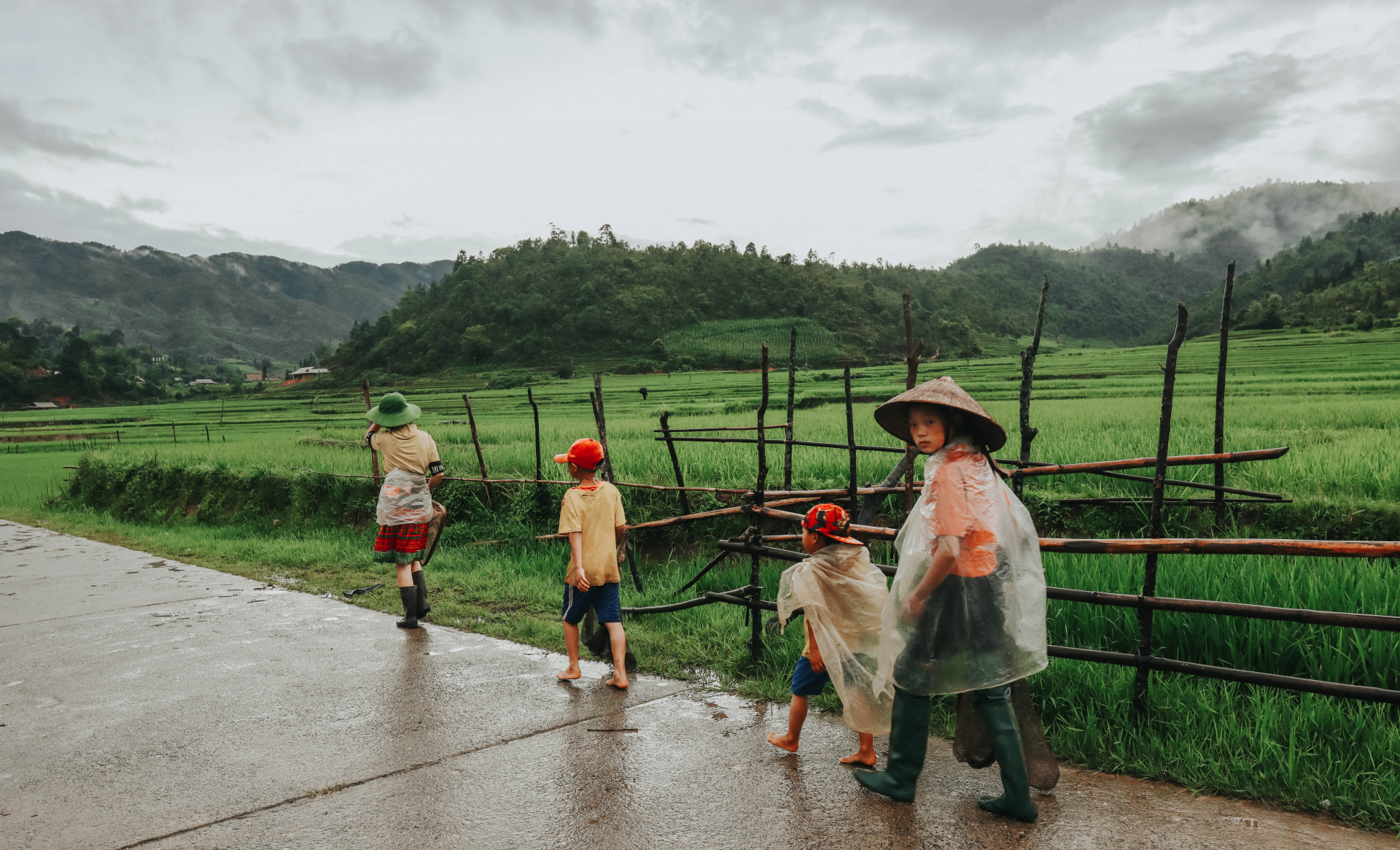 sublime verdant green terraced fields in northwestern vietnam