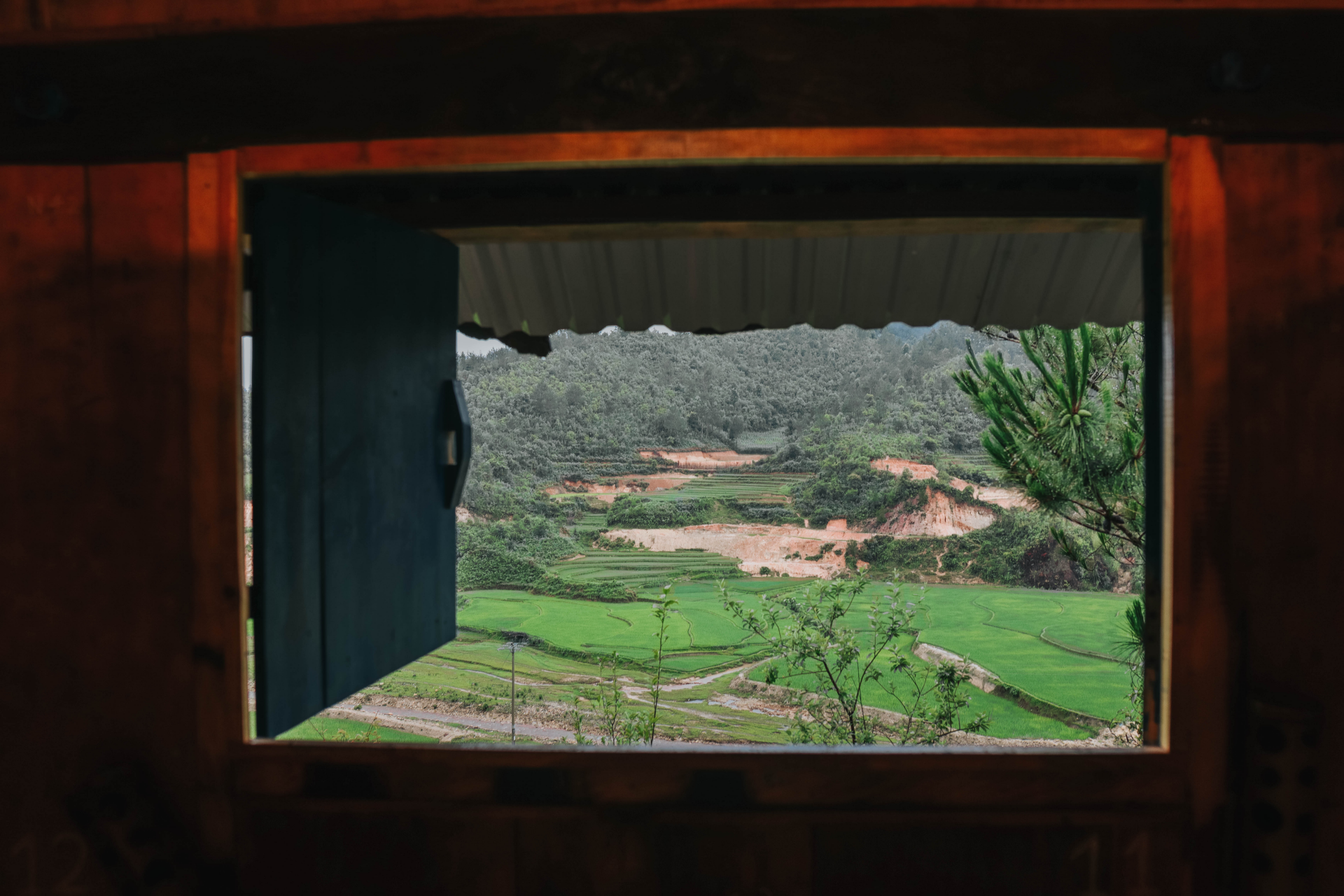 sublime verdant green terraced fields in northwestern vietnam