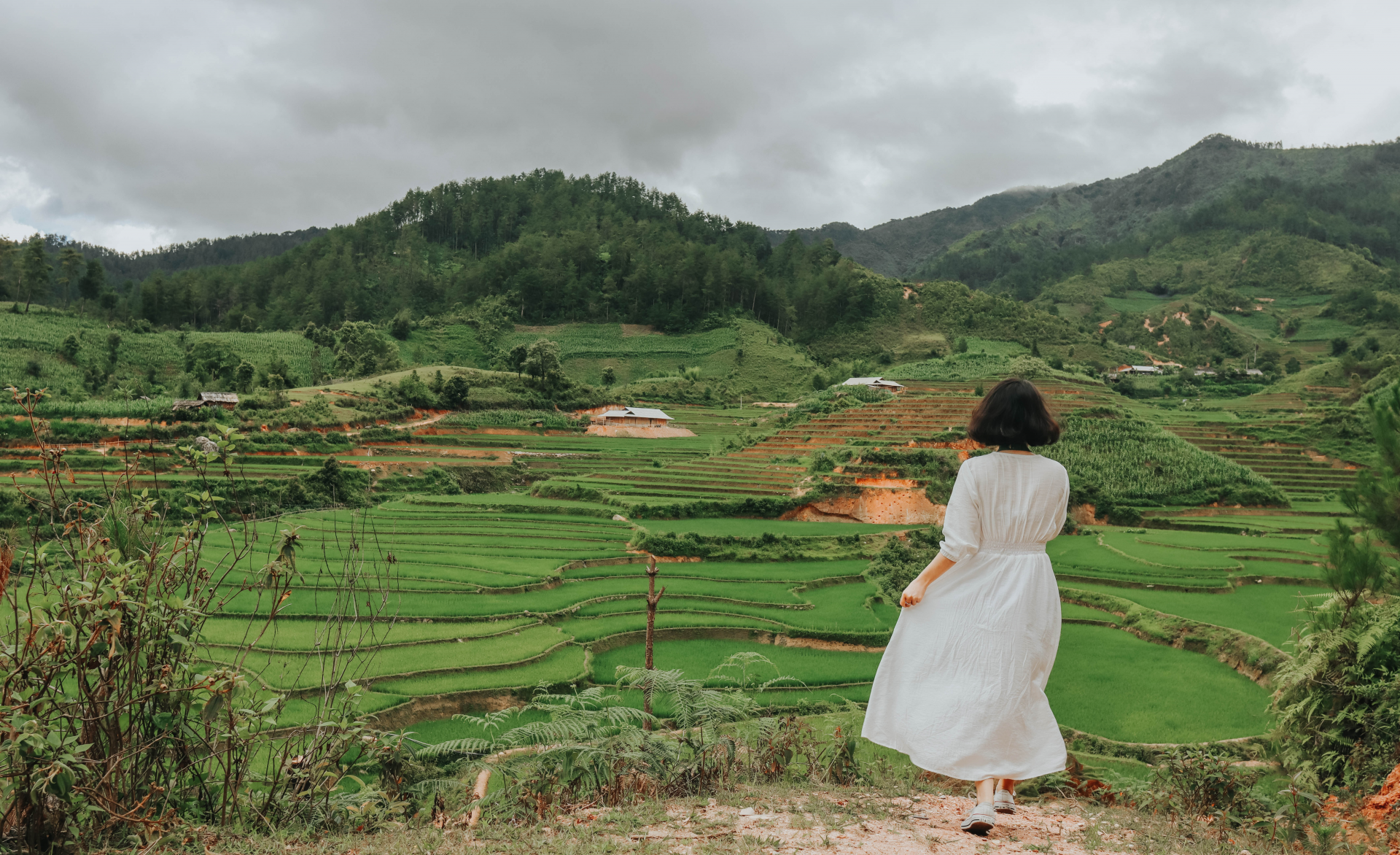 sublime verdant terraced fields in northwestern vietnam