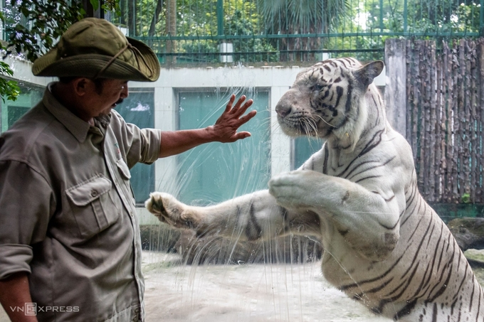 hcm citys oldest zoo incurs us 861000 in loss due to covid 19 calling for donation