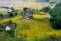 sapa terraced fields among top 30 beautiful places globally