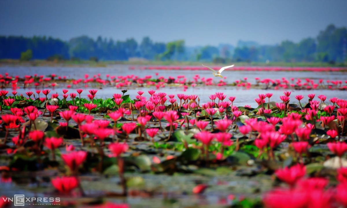 Tranquil hues accentuates beauty of Vietnam’s southeastern province