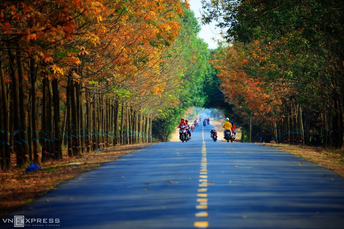 Tranquil hues accentuates beauty of Vietnam’s southeastern province