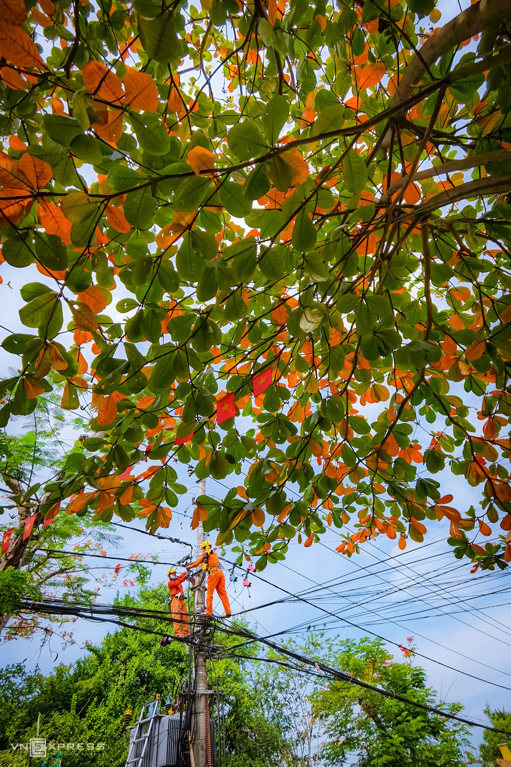 A glimpse of poetic Hoi An Ancient Town in autumn