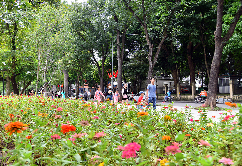 Hanoi streets brilliantly decorated to celebrate 1010th anniversary of Thang Long – Hanoi