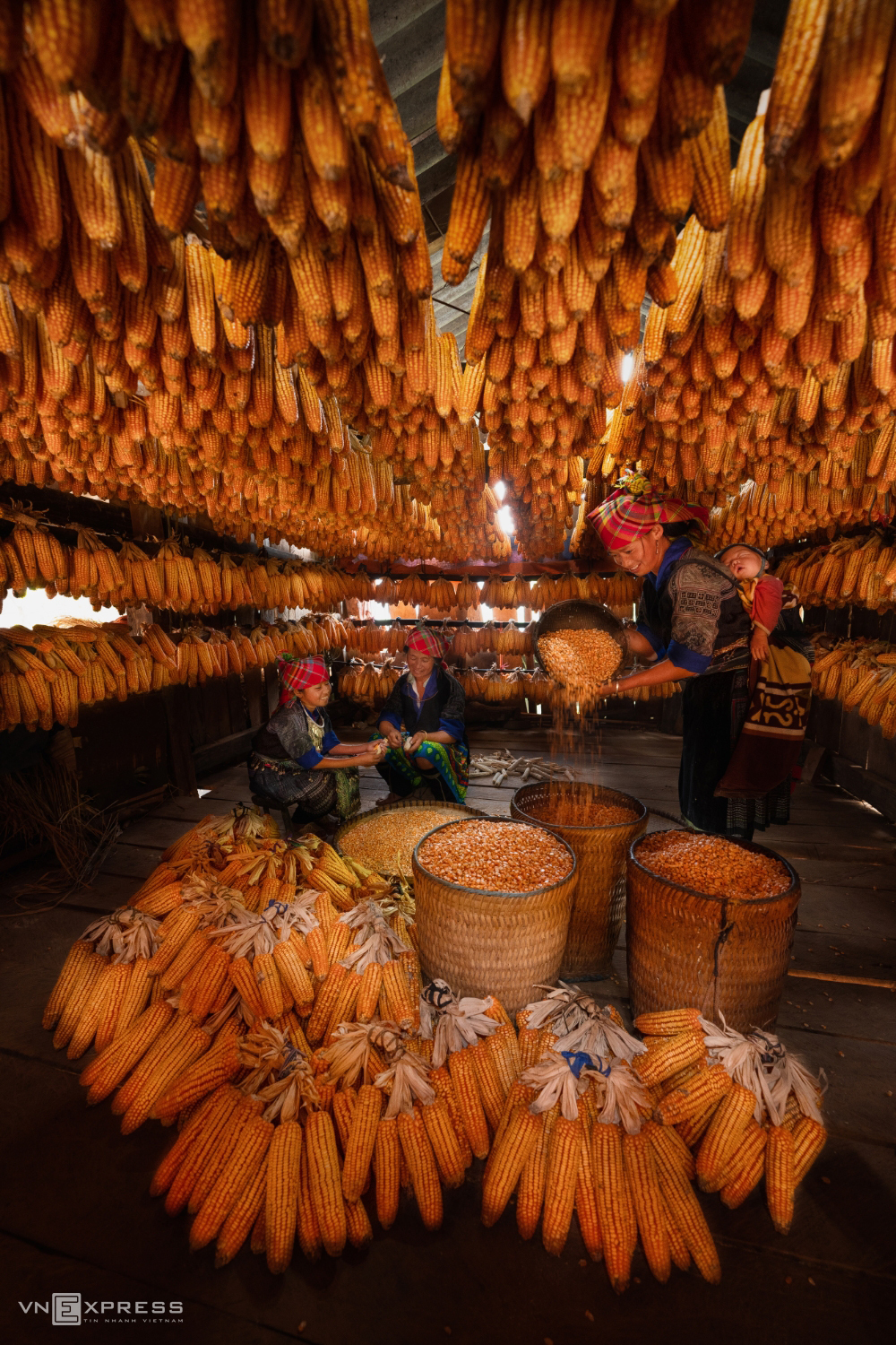 Vietnamese female beauties at work across the country in photos