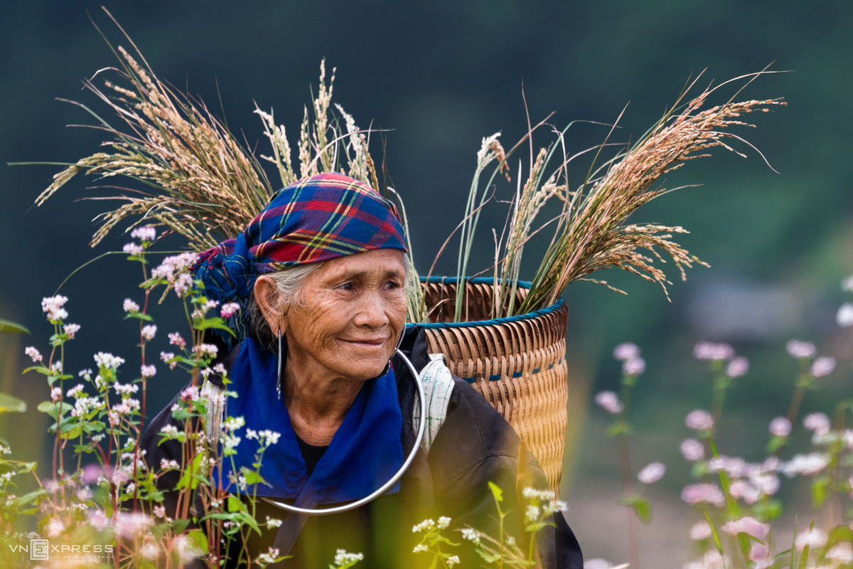 Vietnamese female beauties at work across the country in photos