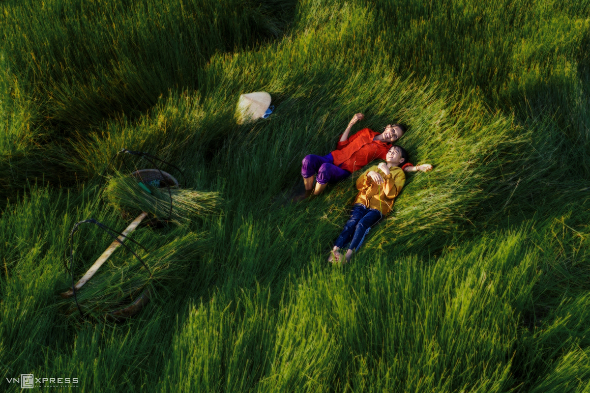 Vietnamese female beauties at work across the country in photos