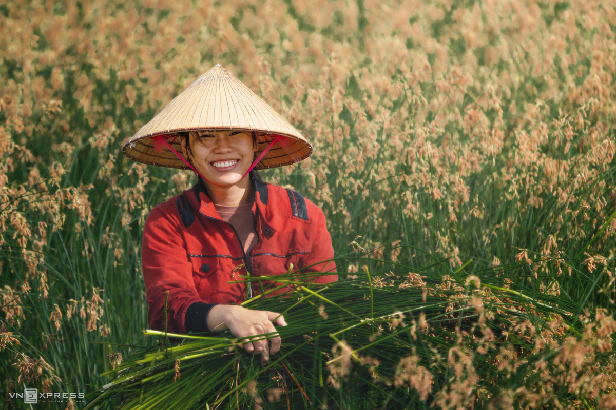 Vietnamese female beauties at work across the country in photos
