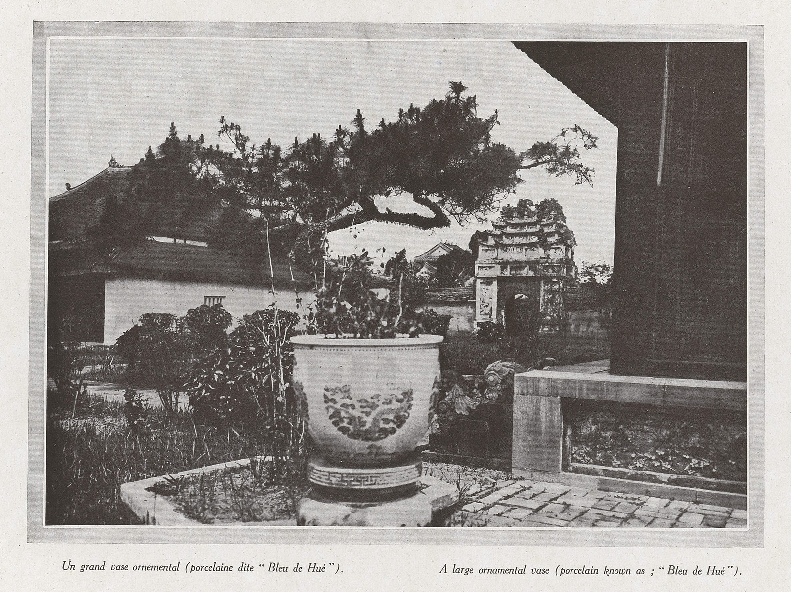 Rare photos of Hue Imperial City in 1919