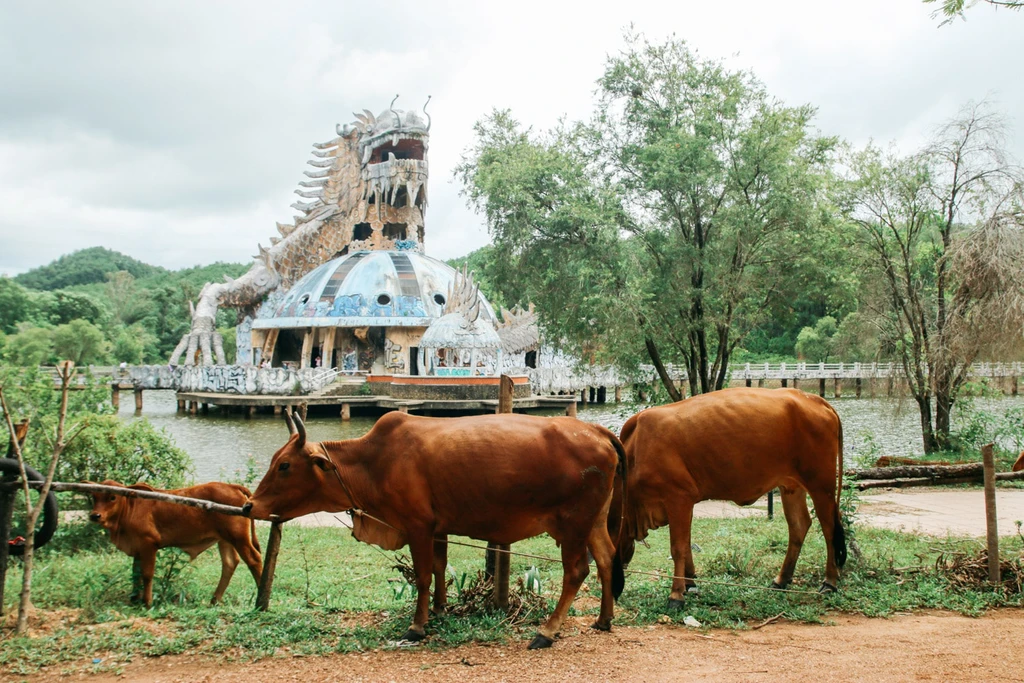weirdest places in vietnam under the eyes of foreigner