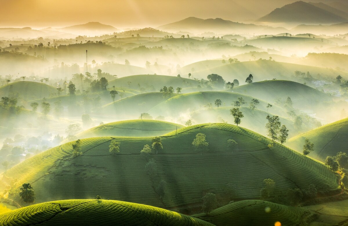 vietnamese photographer wins international photo contest