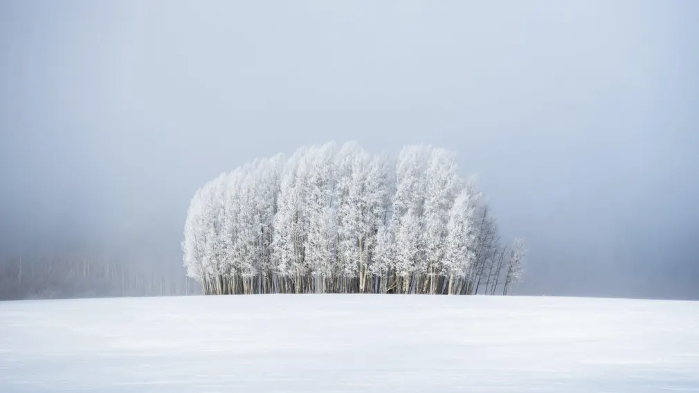 Vietnamese photographer wins international photo contest