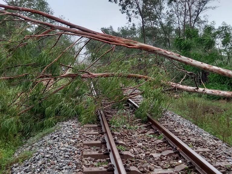 Quang Ngai, Quang Nam in central Vietnam left desolate after fierce storm Molave