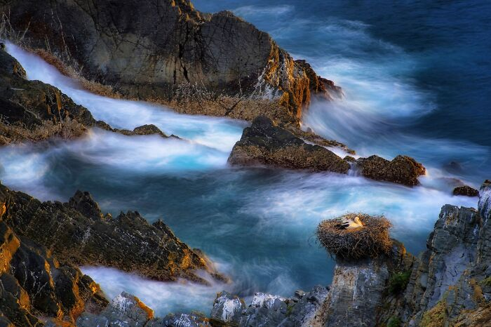 Photos taken by Vietnamese photographers win prizes at Siena photo contest