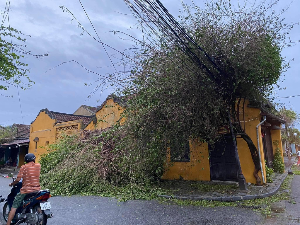 Hoi An ancient town wrecked after storm Molave