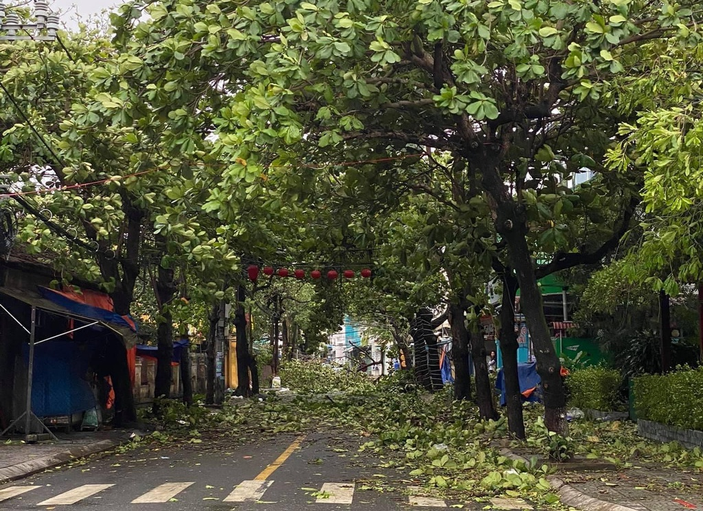 Hoi An ancient town wrecked after storm Molave