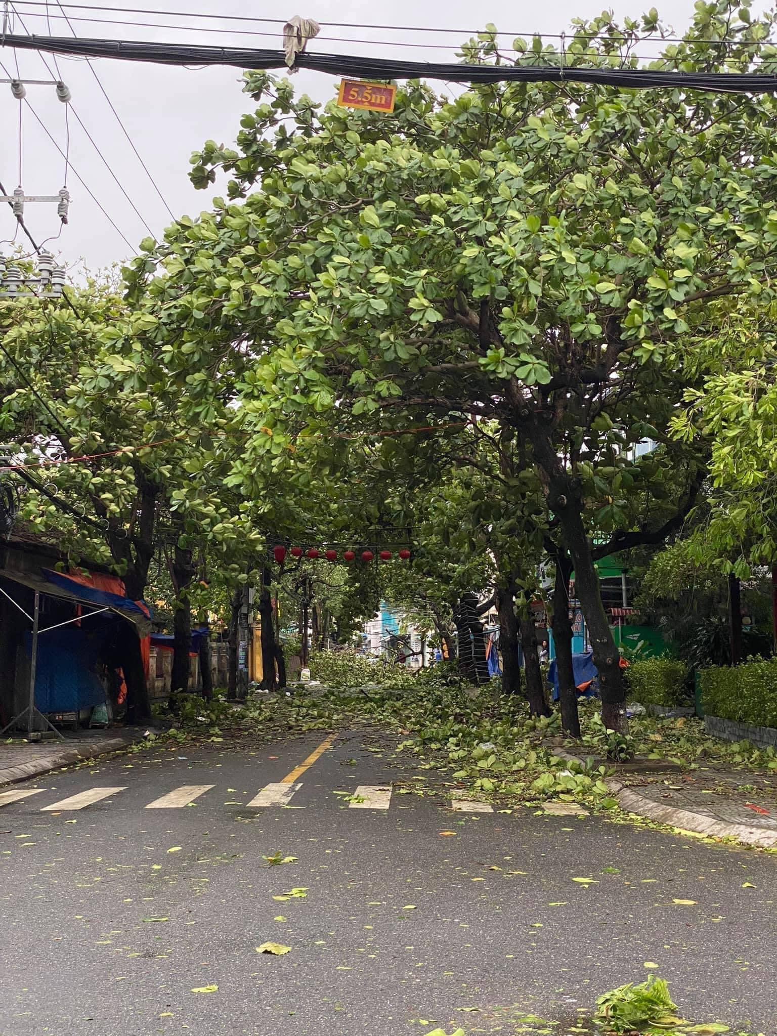 Hoi An ancient town wrecked after storm Molave