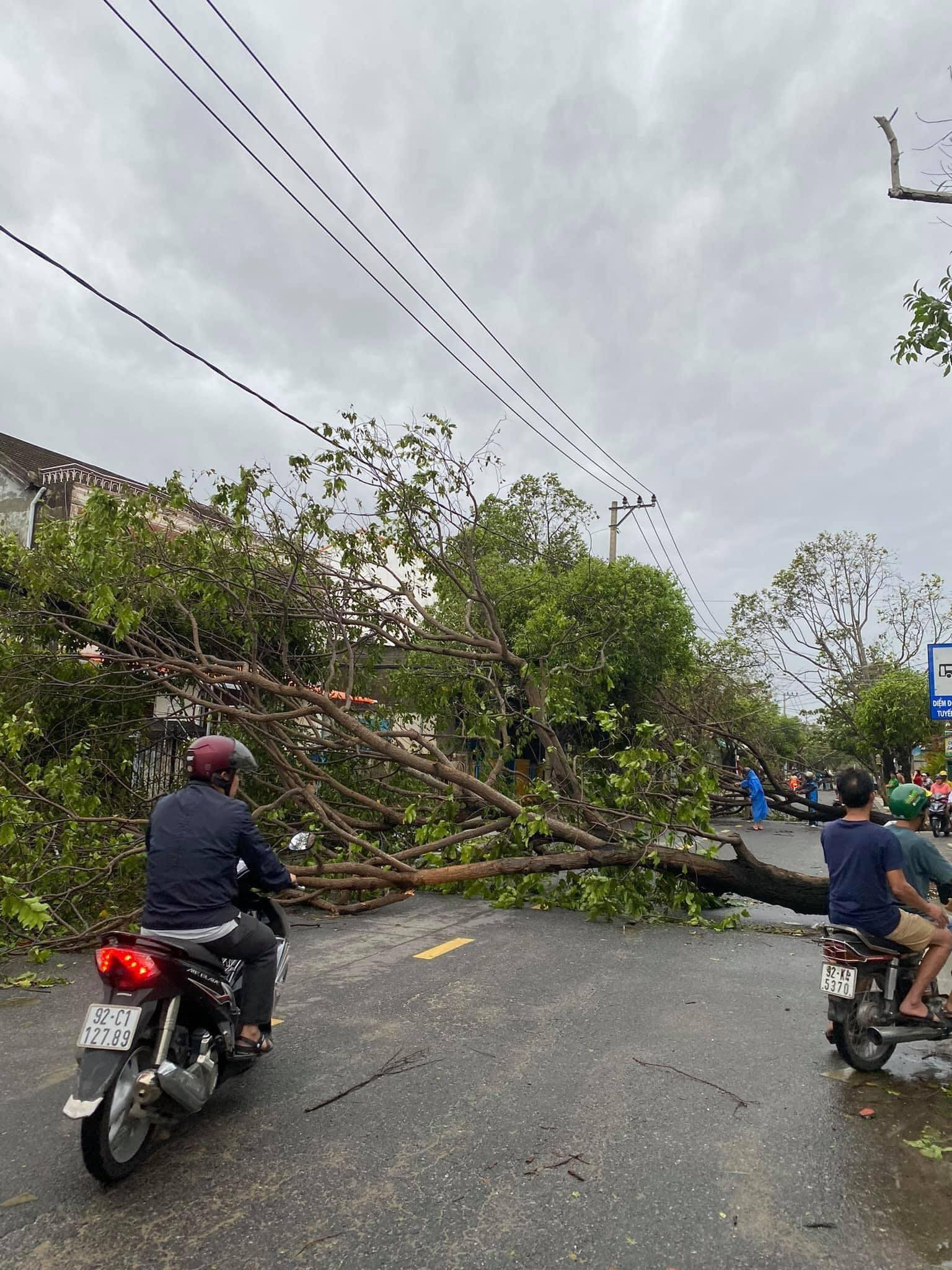 Hoi An ancient town wrecked after storm Molave