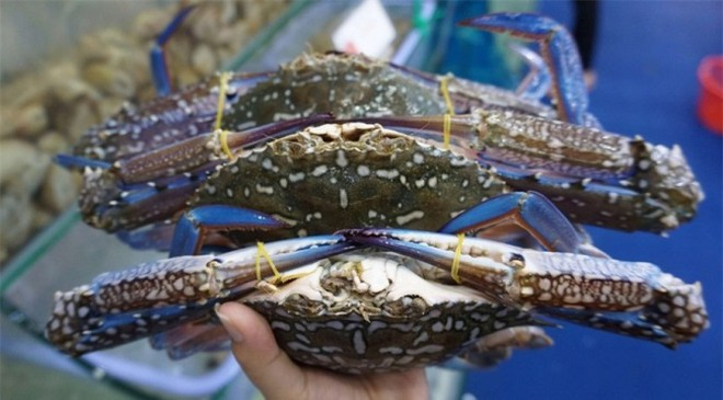 vietnams crab exports to china skyrocket in first nine months of 2020